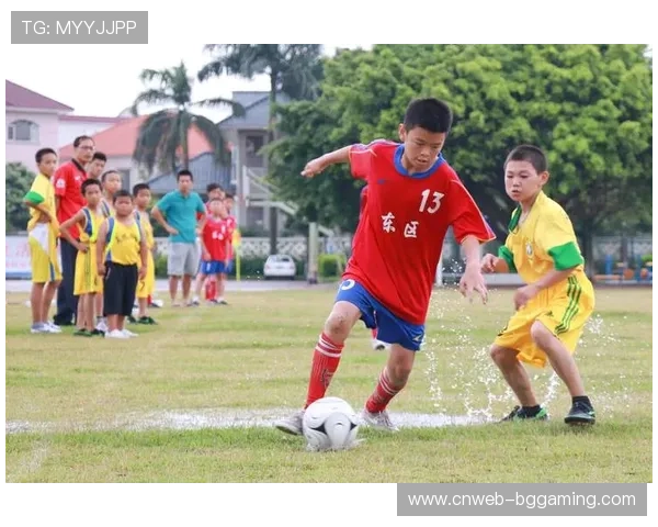退役球星谈青训体系重要性，呼吁加强基层教练培养